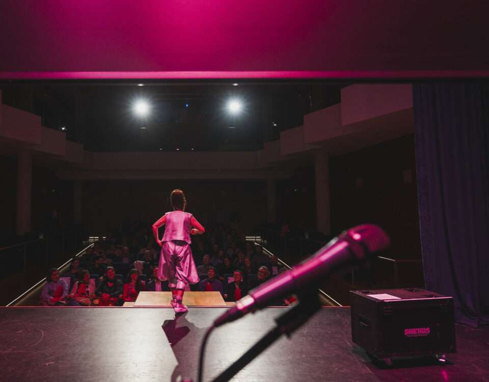 Foto de una de las actuaciones de la gala celebrada en Ames